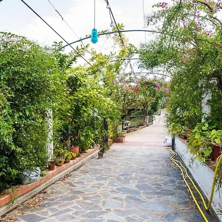Appartamento Sohoro House Fagias