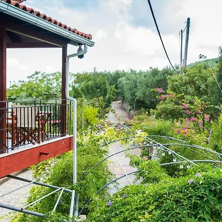 Sohoro House *