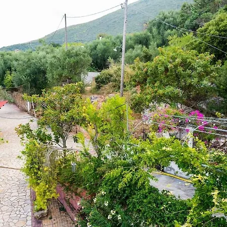 Sohoro House Daire Fagias